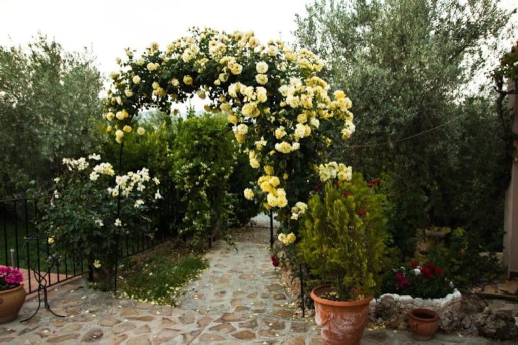 Cazorla-Alcon, Casa Hoya Don Gaspar Pozo Alcón Dış mekan fotoğraf